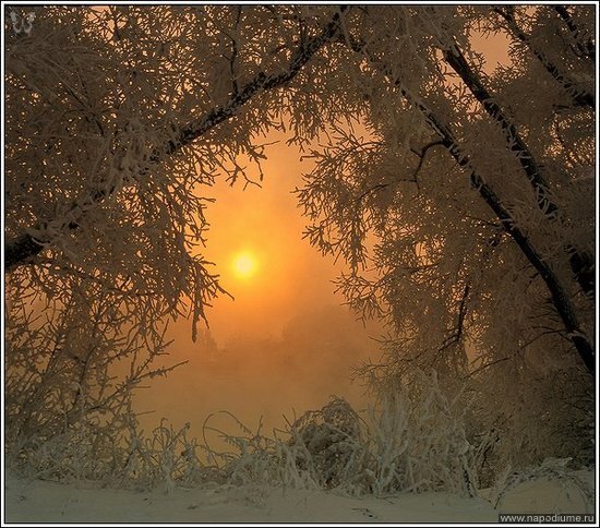 Foto Grigorij Ivasenko