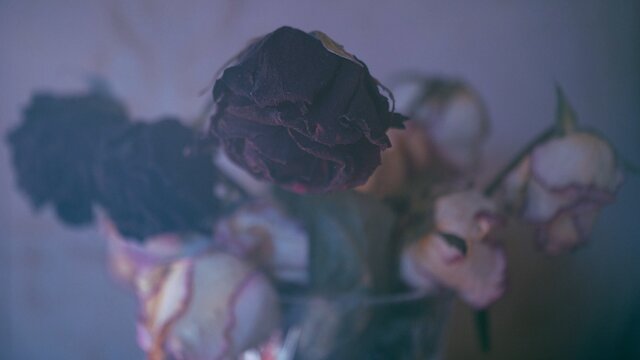 Alexandr Grakovski's photo