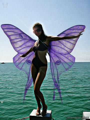 baterfly