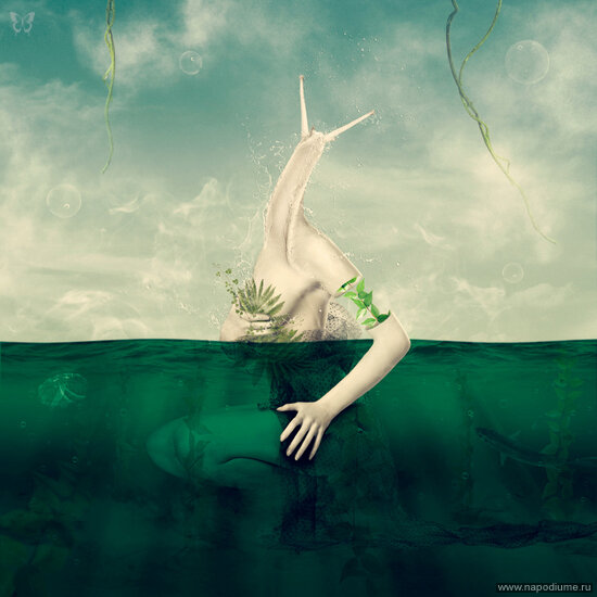 Фото Alena Adamenko