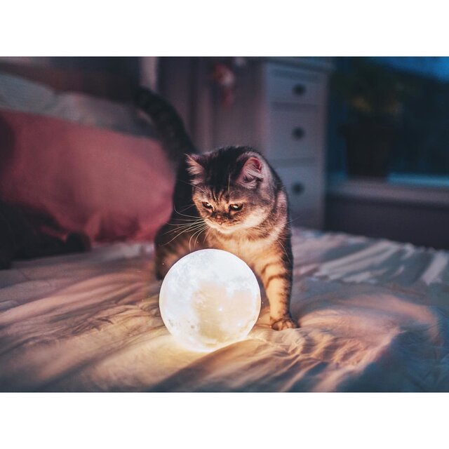 Nick Nicastro's photo