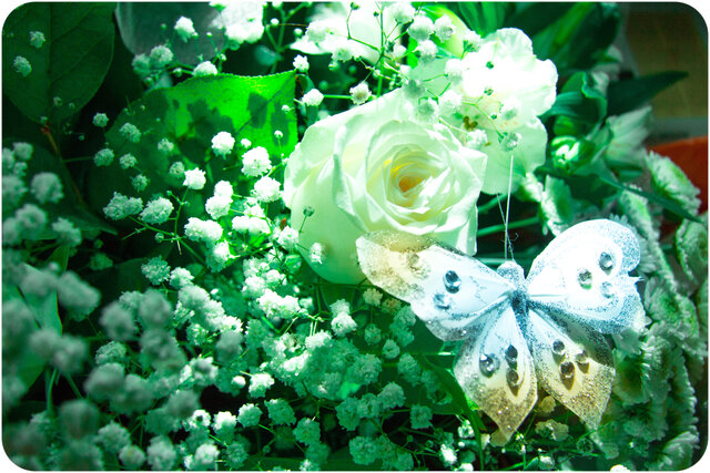 Diana Hudakova's photo