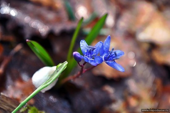 Ulia Manzosova's photo
