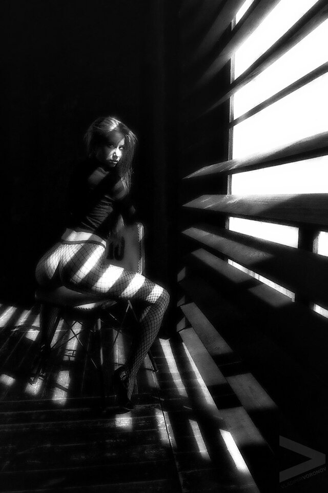 vladimir v's photo