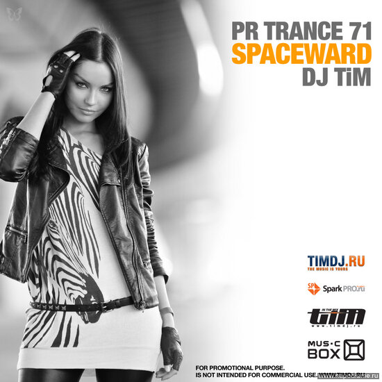 специально для DJ Tim