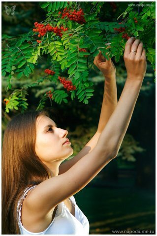 Ivan Stepanok's photo