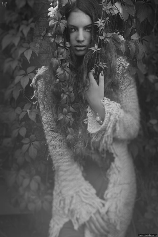 Evgen Karpenko's photo