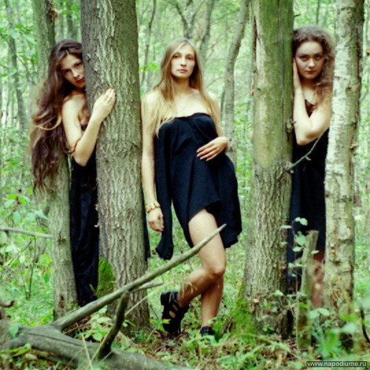 Vladimir Romanov's photo