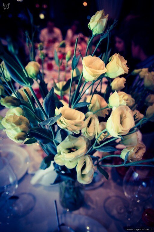 Ana Ciganova's photo