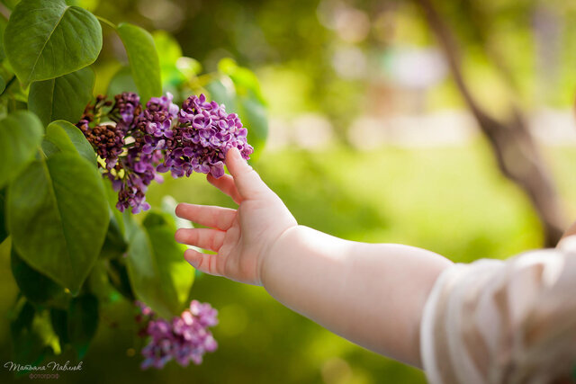 Tanya Pavlyuk's photo