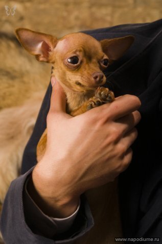 Sergej Buklakov's photo