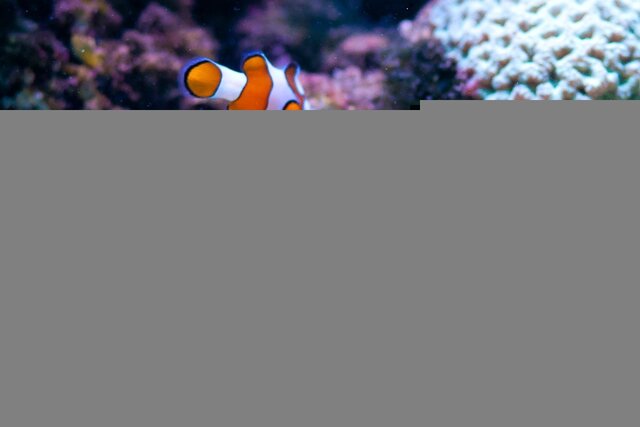 Maxim Panov's photo
