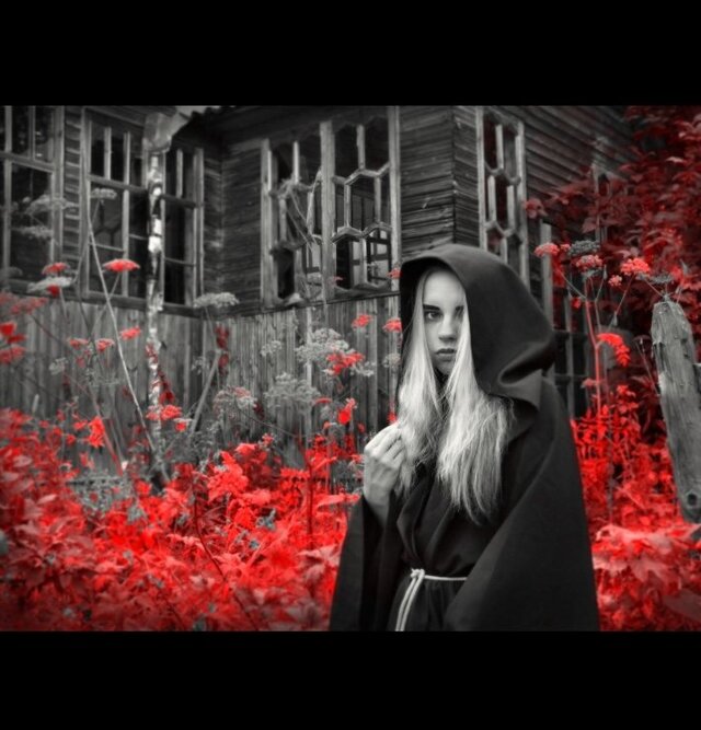 Anzhelika Sokolnikova's photo