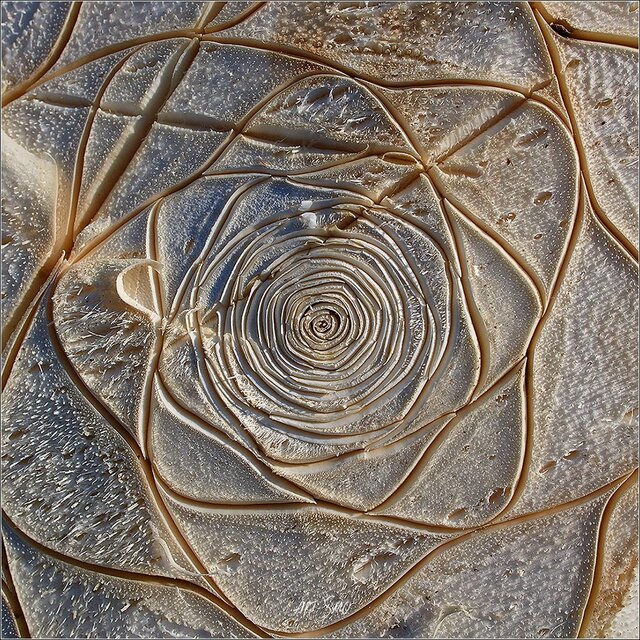 Igor Smolnikov's photo