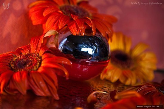 Tat'ana Bykovskaa's photo