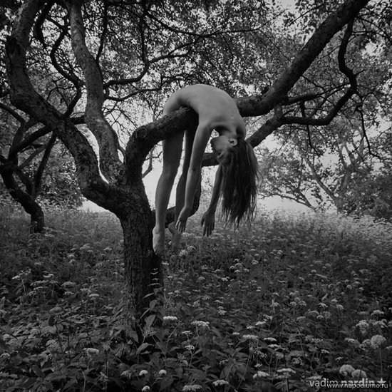 Vadim Nardin's photo