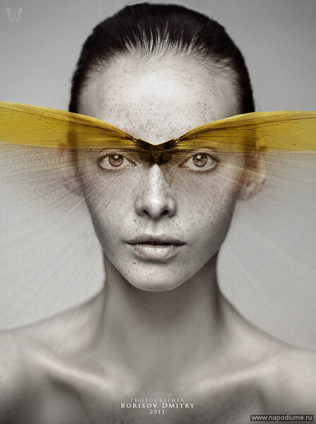 Dmitry Borisov's photo