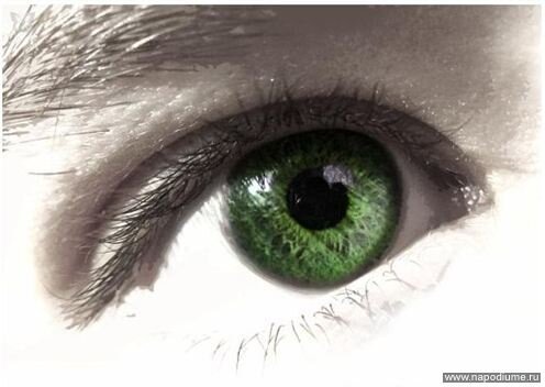 Sergej Ersov's photo