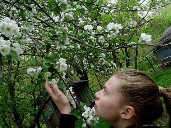 Фото Анна Виноградова