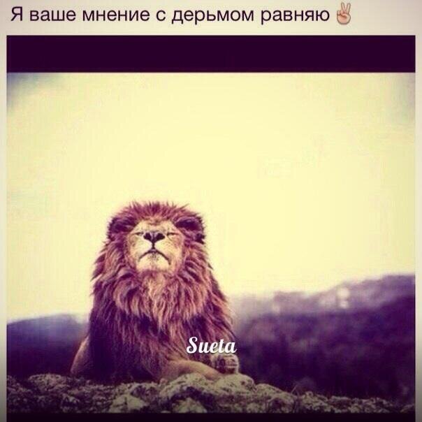 Diona Moon's photo