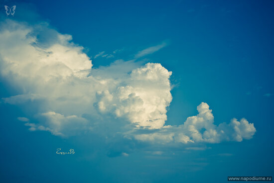 Elena Skackova's photo
