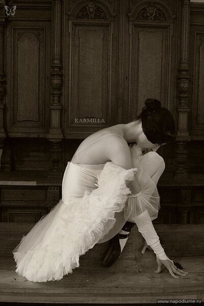 White-Black Swan