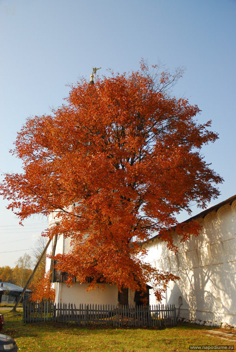 Aleksandr Kuznecov's photo