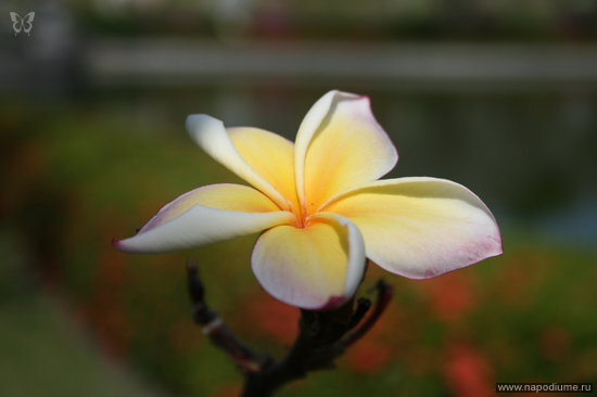 Pavel Garas'ko's photo
