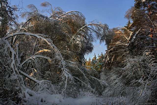 Фото Андрей Войцехов