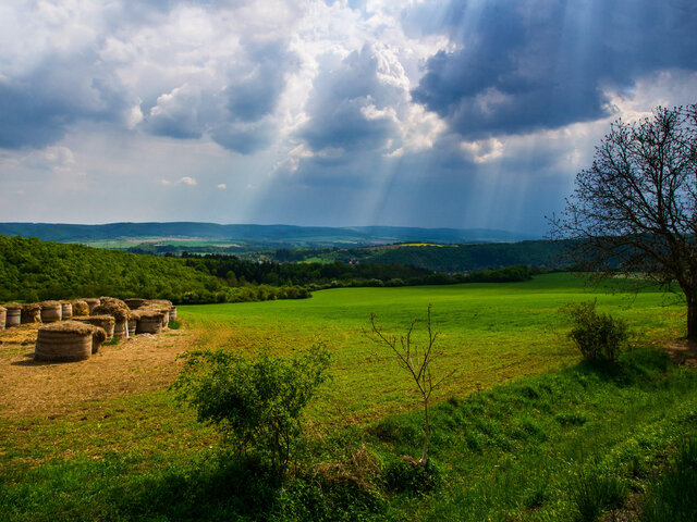 Фото Ruslan RusArtFoto Shatskih