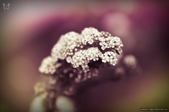 Nikita Kocetov's photo