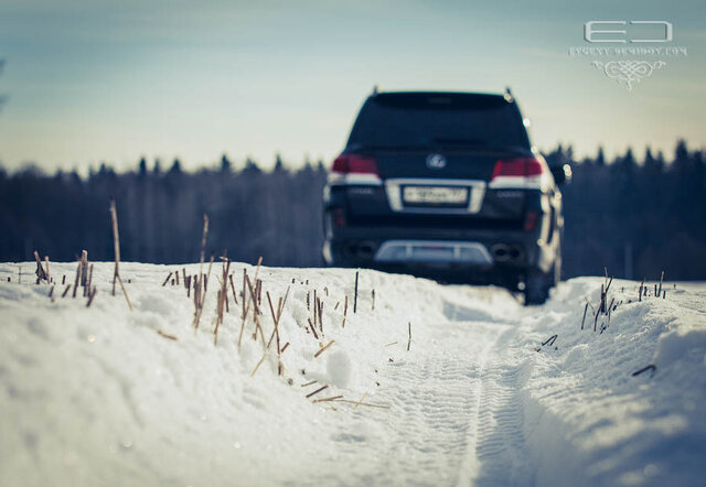 Evgenij Demidov's photo