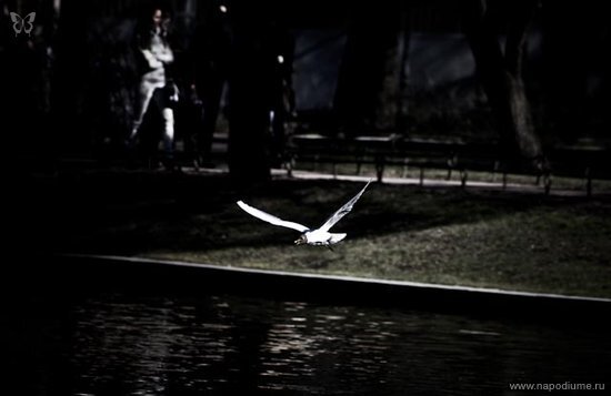 Ura kolas's photo