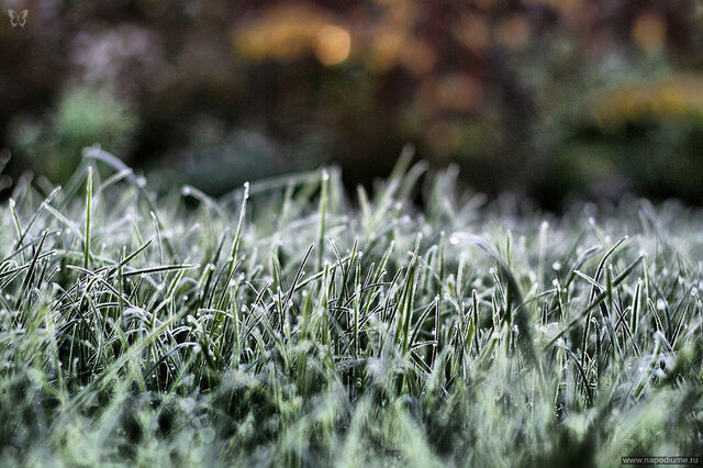 Nikita Kocetov's photo
