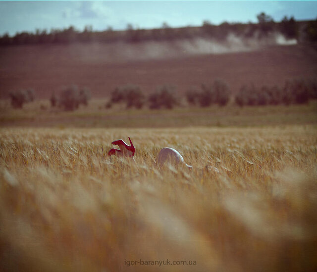 Photo %s