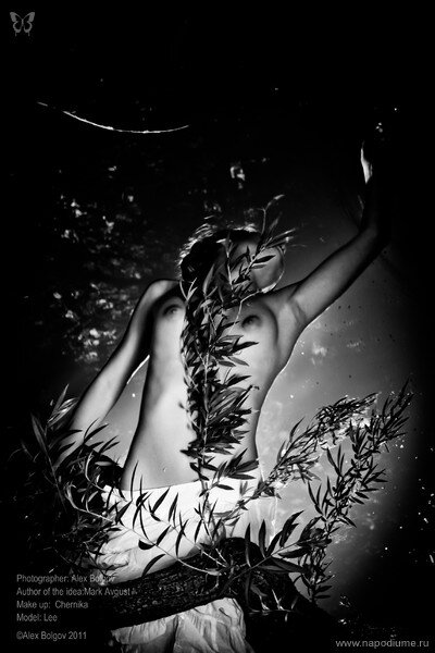 Alex Bolgov's photo