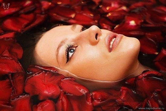 Elena Samsonova's photo
