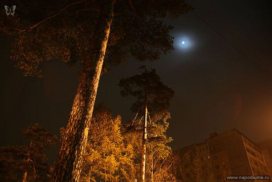 Фото Misha smisha Shipilov