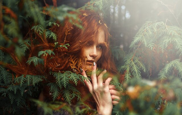 照片Elena Shabalova