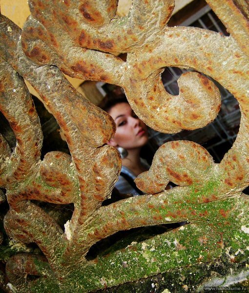 Elena Tazel'nikova's photo