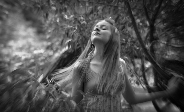 Фото Dmitry Grebcov