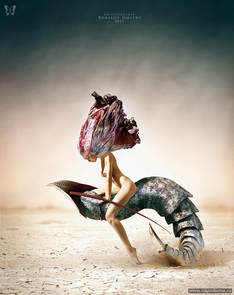 Dmitry Borisov's photo