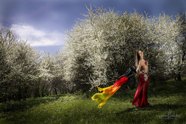 Vladimir Smirnov's photo