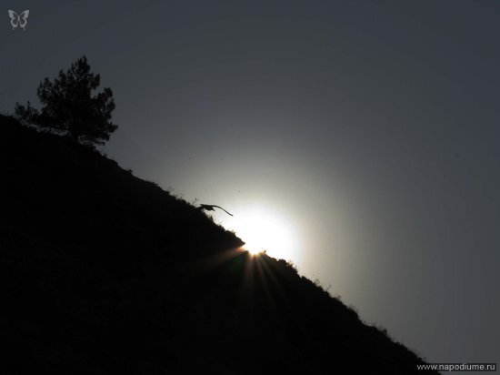Ann Ma's photo