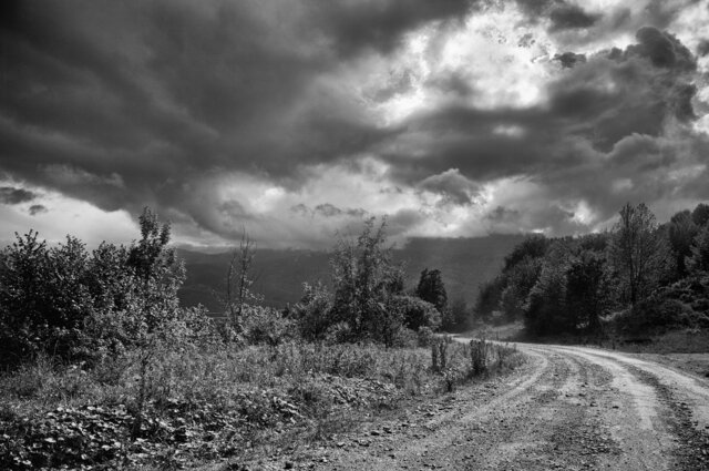 Mikhail Mikheev's photo