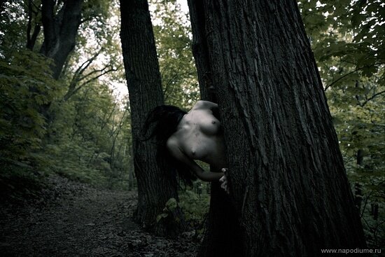 Фото Konstantin Alexandroff