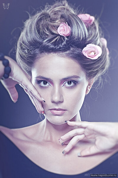 Where the Wild Roses Grow