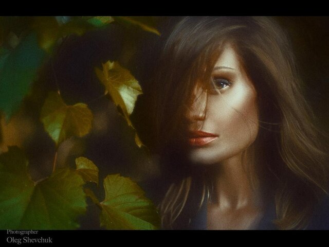 Фото Oleg Shevchuk
