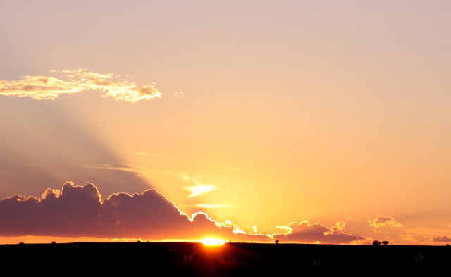 Фото Shawn Wilson