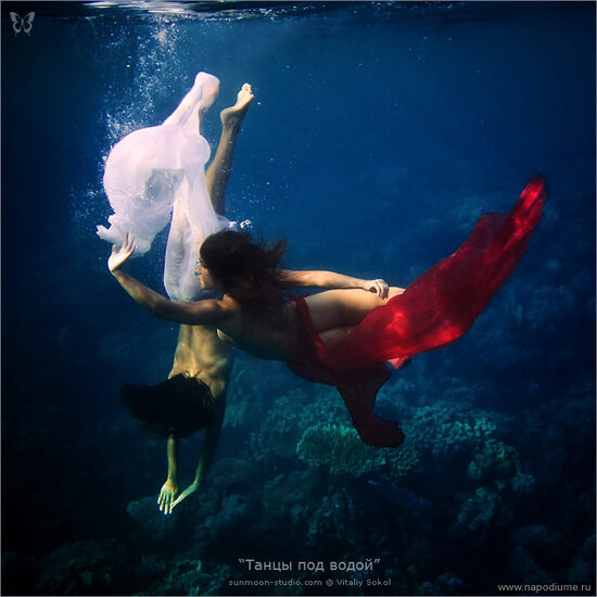 Vitalij Sokol's photo